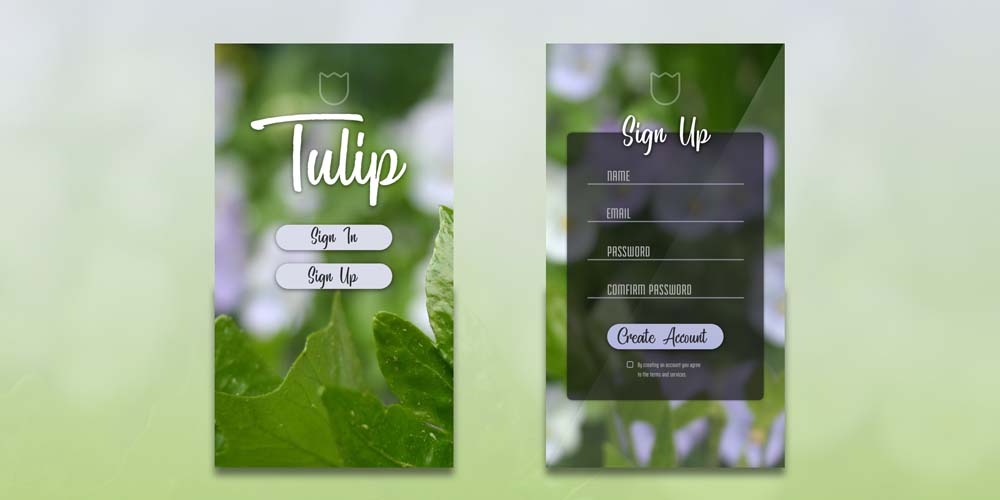 user sign in ui design
